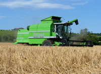 Deutz Fahr Starliner, Topliner, and Older Green Combine Harvesters