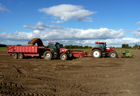 Potato, Parsnip and Carrot Harvesting