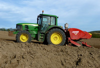 Potato and Onion Planting