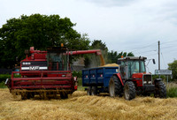 Massey Ferguson Classic and Vintage Combine Harvesters