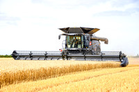 Massey Ferguson IDEAL Combine Harvesters