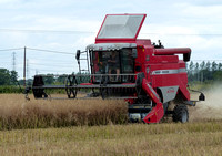 Massey Ferguson Activa (Old Style) Combine Harvesters