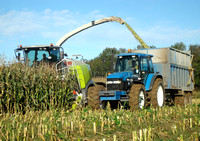 Silage