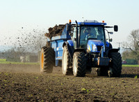 New Holland