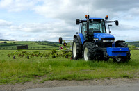 New Holland