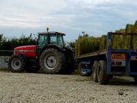 Massey Ferguson