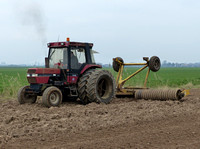 Case IH