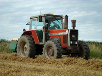 Hedge Cutting