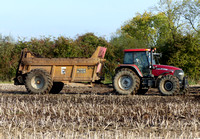 Case IH