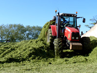 Massey Ferguson