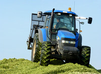 New Holland