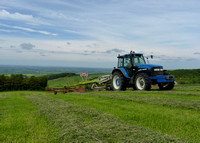 New Holland