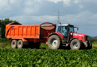 Massey Ferguson