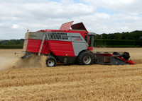 Massey Ferguson Cerea Combine Harvesters