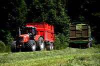 Massey Ferguson