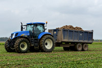 New Holland