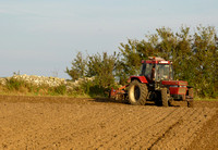 Case IH