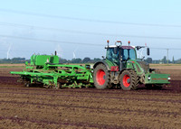 Root Crop Topping and Windrowing
