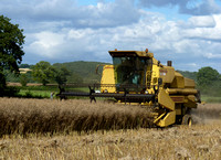 New Holland 8000 Series Combine Harvesters